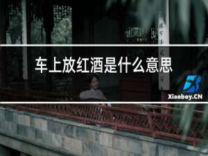 车上放红酒是什么意思
