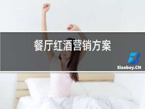 餐厅红酒营销方案