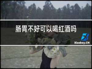 肠胃不好可以喝红酒吗