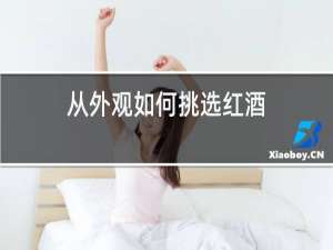 从外观如何挑选红酒