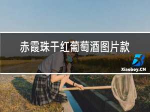 赤霞珠干红葡萄酒图片款男生和女生
