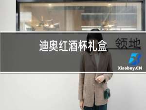 迪奥红酒杯礼盒