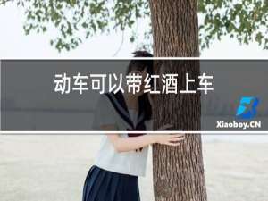 动车可以带红酒上车