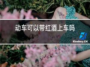 动车可以带红酒上车吗