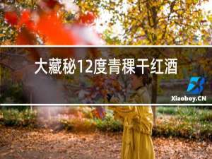 大藏秘12度青稞干红酒