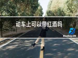 动车上可以带红酒吗