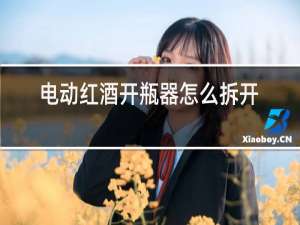 电动红酒开瓶器怎么拆开
