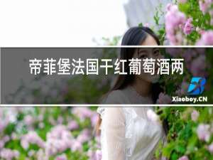 帝菲堡法国干红葡萄酒两瓶装