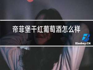 帝菲堡干红葡萄酒怎么样