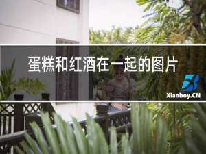 蛋糕和红酒在一起的图片