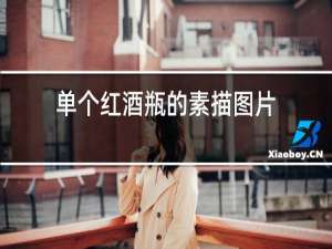 单个红酒瓶的素描图片