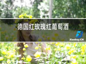 德国红玫瑰红葡萄酒