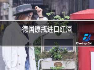 德国原瓶进口红酒