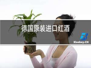 德国原装进口红酒