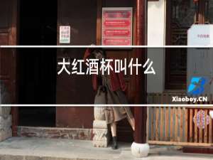 大红酒杯叫什么