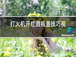 打火机开红酒瓶盖技巧视频