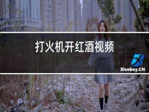 打火机开红酒视频