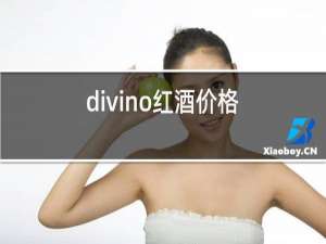 divino红酒价格
