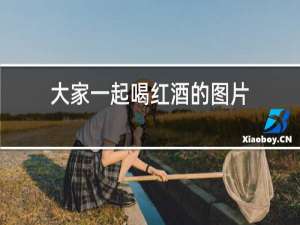 大家一起喝红酒的图片