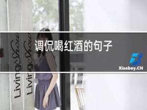 调侃喝红酒的句子