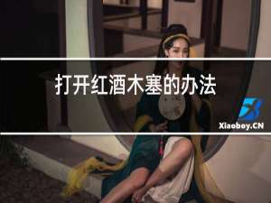 打开红酒木塞的办法