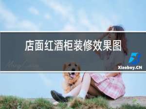 店面红酒柜装修效果图