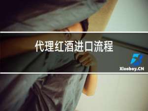 代理红酒进口流程
