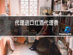 代理进口红酒代理费