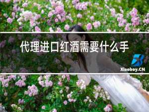 代理进口红酒需要什么手续