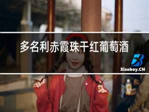 多名利赤霞珠干红葡萄酒怎么样