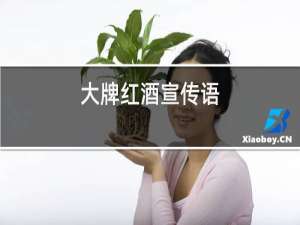 大牌红酒宣传语