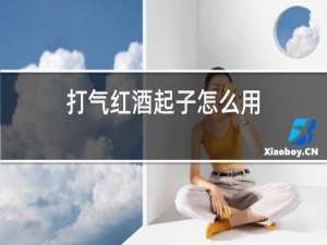 打气红酒起子怎么用