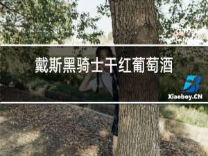 戴斯黑骑士干红葡萄酒