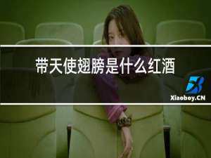 带天使翅膀是什么红酒