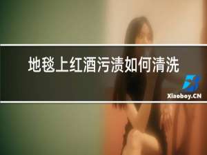 地毯上红酒污渍如何清洗