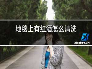 地毯上有红酒怎么清洗