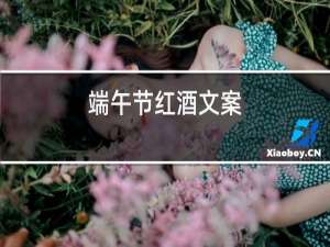 端午节红酒文案