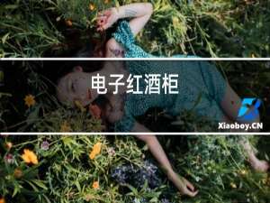 电子红酒柜