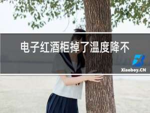 电子红酒柜掉了温度降不下来