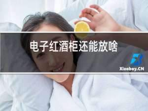 电子红酒柜还能放啥