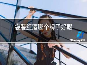 袋装红酒哪个牌子好喝