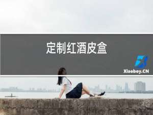 定制红酒皮盒