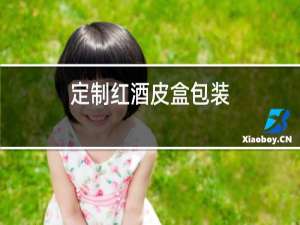 定制红酒皮盒包装