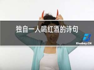 独自一人喝红酒的诗句