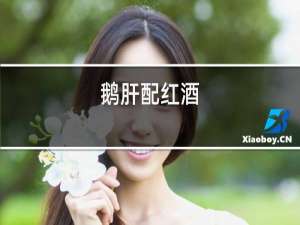 鹅肝配红酒