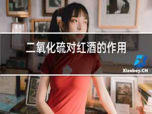 二氧化硫对红酒的作用