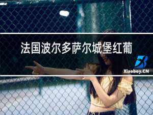 法国波尔多萨尔城堡红葡萄酒2013