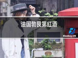 法国勃艮第红酒