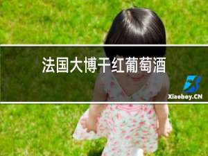 法国大博干红葡萄酒