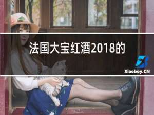 法国大宝红酒2018的价格